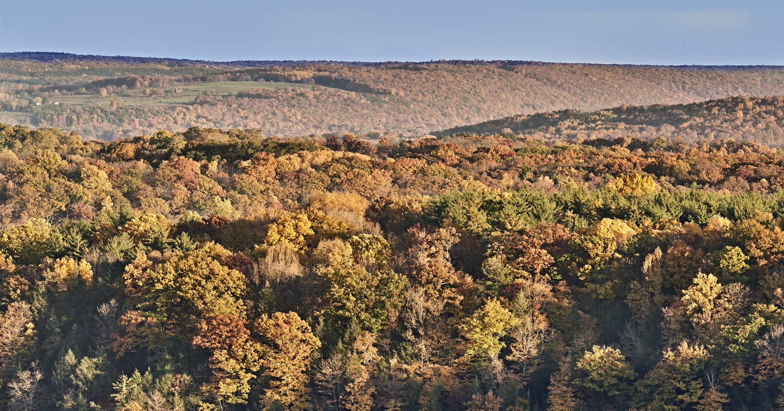 Indian Summer, Letchworth State Park, NY, USA